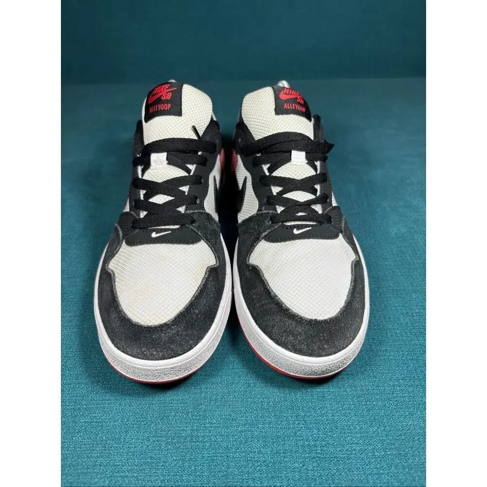Nike sb alleyoop